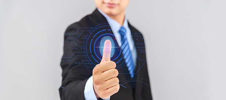 熱烈祝賀上海測振自動化儀器有限公司網站改版上線！